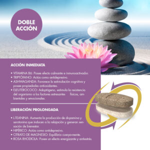 PACK ZEN - Imagen 6